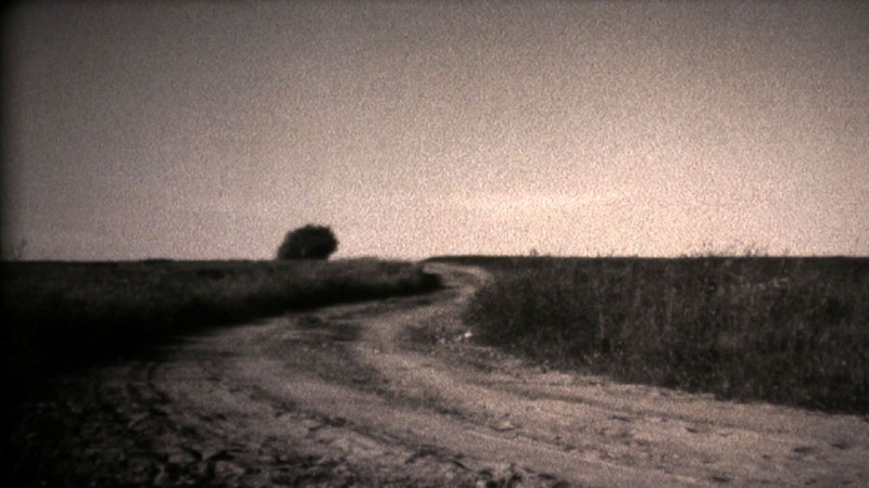 Gu Tao, On the Way to the Sea